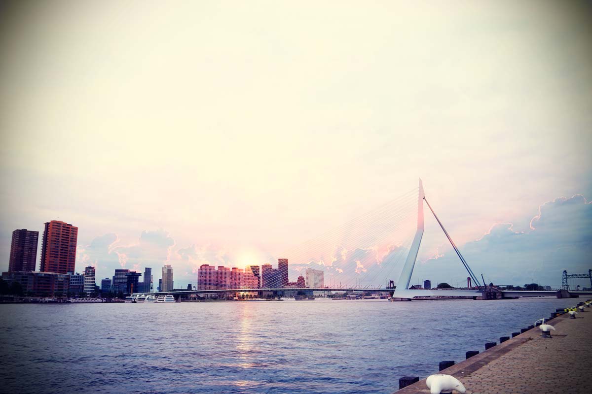 oude haven in Rotterdam